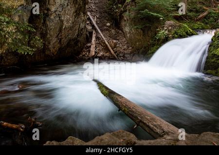 Una lunga esposizione di una piccola cascata sul Latourell Creek sul sentiero delle Cascate Latourell. Foto Stock
