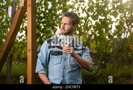 enologo con wineglass. sommelier. agricoltore bere vino. grazie. vinedresser bere. Foto Stock