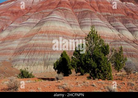 Formazione di Chinle (Paria Badlands) vicino a Old Paria in Utah se Foto Stock
