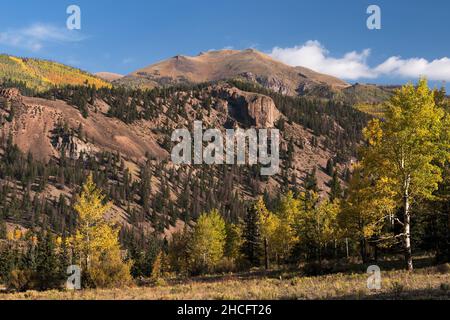 Grassy Mountain si trova a 12.772 metri circa ed è parte dell'aspra catena montuosa di San Juan nel Colorado sud-occidentale. Foto Stock