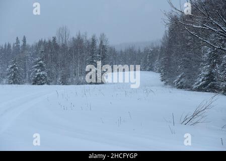 Tracce nella neve marks sentieri per ricreatori il 7 dicembre al Chena River Lakes Flood Control Project in North Pole, Alaska. La struttura offre quasi 20.000 acri di terreno pubblico per i ricreatori da utilizzare durante tutto l'anno mantenuto in collaborazione tra il corpo degli ingegneri dell'esercito degli Stati Uniti - il distretto dell'Alaska e Fairbanks North Star Borough. Foto Stock