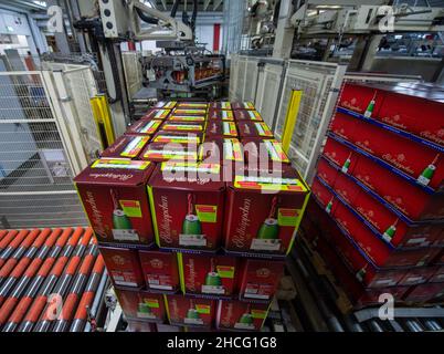 21 dicembre 2021, Sassonia-Anhalt, Friburgo: I cartoni di bottiglie di vino frizzante sono imballati presso il Rotkäppchen Sektkellerei di Friburgo. Poco prima della fine dell'anno, la produzione di vino frizzante è in corso a piena velocità. Negli ultimi anni, l'azienda ha investito molto nella sua sede nella valle di Unstrut, anche in nuove attrezzature di imbottigliamento. Ogni settimana escono dalle linee circa 2,3 milioni di bottiglie da 0,75 litri. Il Natale e la vigilia di Capodanno sono tradizionalmente i momenti più importanti per le cantine Rotkäppchen-Mumm. Attualmente, Rotkäppchen impiega 202 persone a Friburgo, inclusi Foto Stock