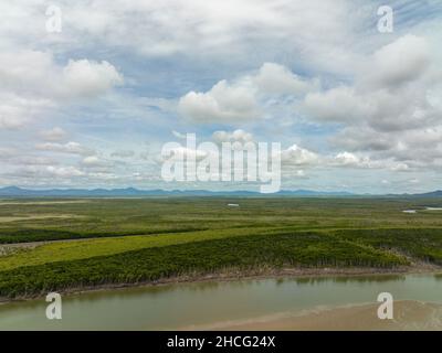 Volo su alberi sgranati sulla riva del fiume e strati di macchia sullo sfondo sotto un cielo nuvoloso a bassa marea Foto Stock