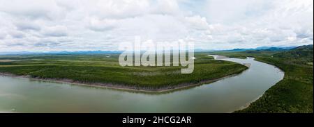 Panorama di un fiume marea con sbarre di sabbia e le rive fiancheggiate da mangrovie e altri alberi tolleranti acqua salata Foto Stock