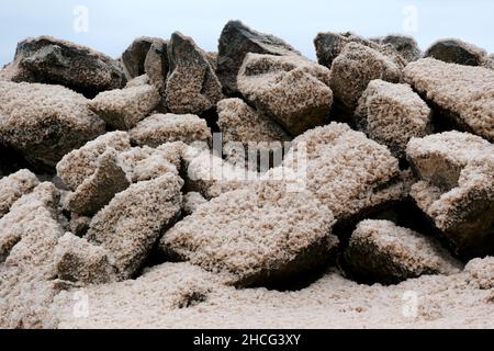 Arisaig, Nuova Scozia, Canada, dicembre 25 2021. Molo di Arisaig. Luke Durda/Alamy Foto Stock