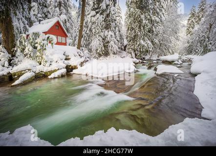 Franklin Falls Trail vicino al Passo Snoqualmie nello stato di Washington. Foto Stock