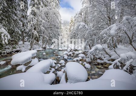 Franklin Falls Trail vicino al Passo Snoqualmie nello stato di Washington. Foto Stock