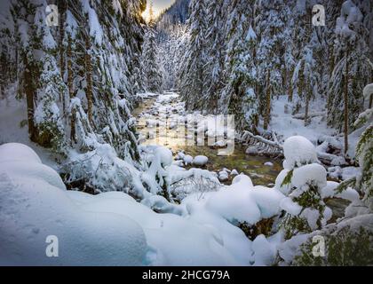 Franklin Falls Trail vicino al Passo Snoqualmie nello stato di Washington. Foto Stock