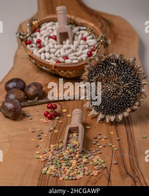 Lenticchie colorate su un tagliere di legno con un girasole asciutto e fagioli bianchi sullo sfondo Foto Stock