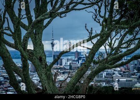 Auckland City da Mount Eden, Aukland, Nuova Zelanda. Foto Stock
