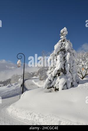 abete coperto di neve fresca e lampione su una strada bianca che conduce ad un villaggio alpino Foto Stock