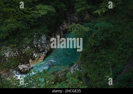 Scenario mozzafiato di un paesaggio con acque limpide fluenti circondato da una foresta Foto Stock