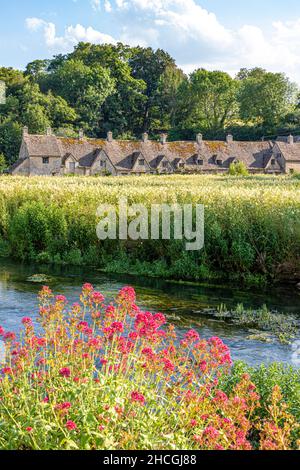 Sera luce cadere su Arlington Row, fine 14th secolo tessitori cottage accanto al fiume Coln nel villaggio di Cottswold di Bibury, Gloucestershire Regno Unito Foto Stock