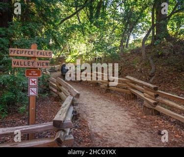 Pfeiffer Falls Trail nel parco statale Pfeiffer Big sur, Big sur, California. Foto Stock