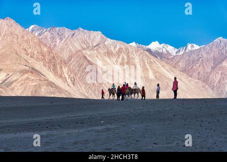 Hunder, India - 19 agosto 2015: Gruppo di persone che cavalcano cammelli baccriani a Sand Dunes nella Nubra Valley. I cammelli baccriani sono nativi degli acciai Foto Stock