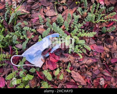 una maschera chirurgica che si trova in natura tra foglie secche color ocra e germogli di erba verde, spazzatura gettato in natura, problema di protezione ambientale, horiz Foto Stock