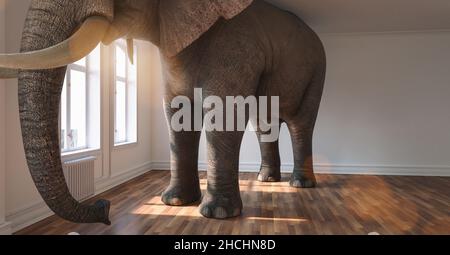 Grande elefante calma in un appartamento come una divertente mancanza di spazio e animale domestico concetto immagine Foto Stock