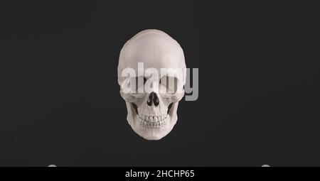 Cranio umano e Jaw Bone vista frontale Pirate Poison Horror simbolo Halloween Medical. Immagine del concetto di anatomia e medicina. Foto Stock