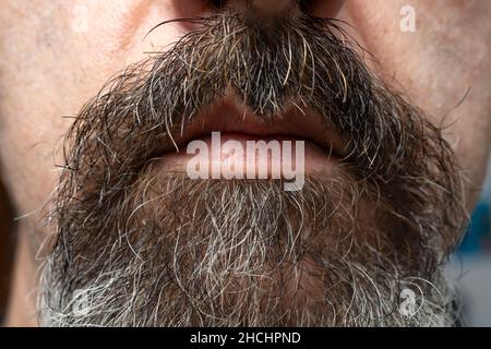 maschio di mezza età, con goatee grigio , primo piano Foto Stock