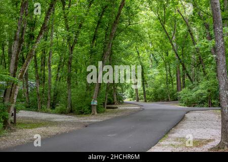Campeggio presso l'area ricreativa del lago Cumberland Kendall nel Kentucky Foto Stock