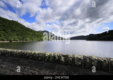 Vista estiva sul Thirlmere Reservoir, Allerdale; Lake District National Park, Cumbria, Inghilterra, Regno Unito Foto Stock