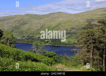 Vista estiva sul Thirlmere Reservoir, Allerdale; Lake District National Park, Cumbria, Inghilterra, Regno Unito Foto Stock