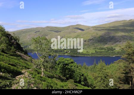 Vista estiva sul Thirlmere Reservoir, Allerdale; Lake District National Park, Cumbria, Inghilterra, Regno Unito Foto Stock