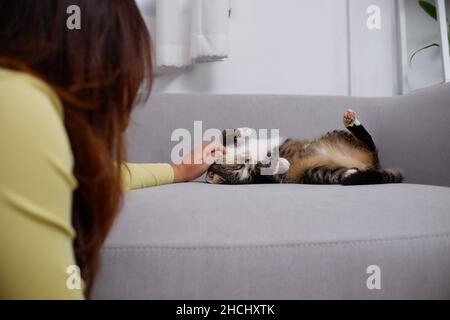 Le donne rimangono a casa giocando con il gatto sul divano nel soggiorno. Foto Stock