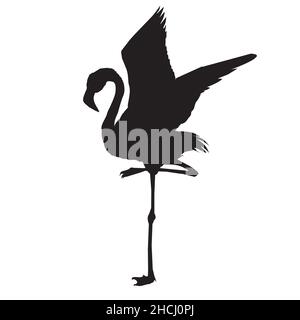 Flamingo silhouette , file vettoriale di uccello, illustrazione Illustrazione Vettoriale