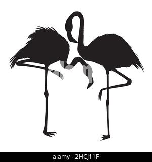 Flamingo silhouette , file vettoriale di uccello, illustrazione Illustrazione Vettoriale