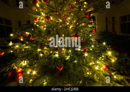 L'albero di Natale splendidamente decorato con luci luccicanti e ornamenti rossi crea una calda atmosfera festosa durante le festività Foto Stock