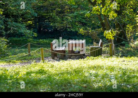 Panchine in legno e un piccolo tavolo nel mezzo del parco forestale Foto Stock