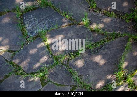 Pavimentazione in pietra naturale testurizzata e non strutturata con erba che cresce tra le pizzi di pietra e con piccoli punti di luce. Perfetto non distrarre Foto Stock