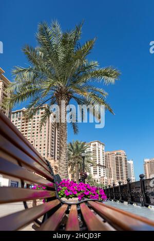 Vista laterale dei fiori rosa Petunia Surfinia su una panca di legno sotto una palma e un cielo blu soleggiato Foto Stock