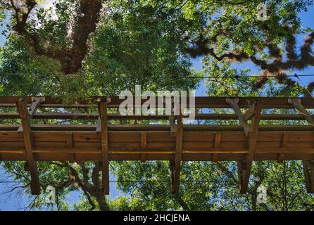 Passerella a baldacchino presso il Myakka River state Park, Florida, USA Foto Stock