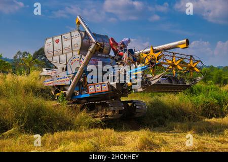 Una macchina trebbiatrice tailandese che salta tra i campi mentre si raccoglie il riso nel Rural Nakhon Nayok, Thauland. Foto Stock