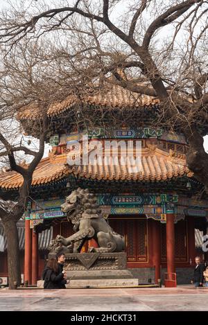 Pechino, 24/02/2019. Il punto di riferimento spirituale della capitale: Yonghe Gong, conosciuto anche come il Tempio dei lama Foto Stock
