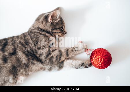 Carino gattino grigio dorme con palline decorative rosse bauble su un divano sotto una morbida coperta bianca. Buon Natale e felice anno nuovo sfondo. Foto Stock