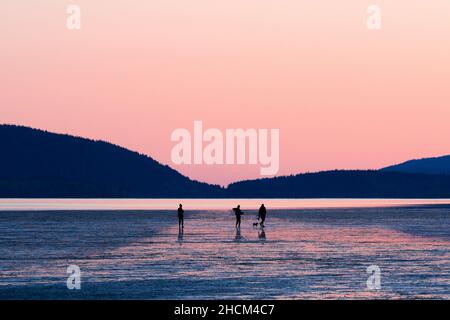 Silhouette di persone che godono la vista al tramonto a Bellingham, Washington Foto Stock