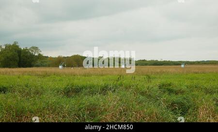 Stazione di ricerca per lo studio delle zone umide dell'ecosistema dei prati stazione meteorologica paludi con salici, ciclo e flusso di carbonio, covarianza eddy, ricerca sul metano, Foto Stock