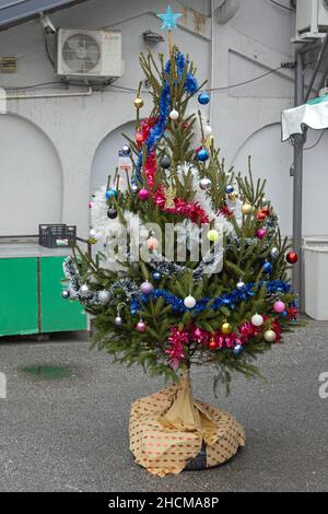 Belgrado, Serbia - 26 dicembre 2021: Piccolo albero di Natale naturale decorato con ornamenti baublici all'esterno. Foto Stock