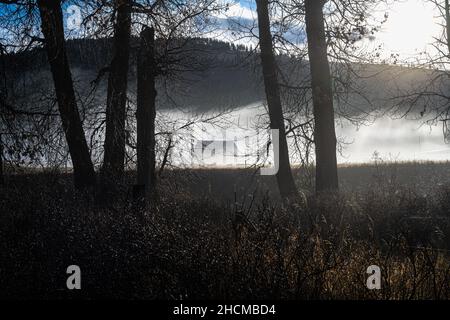 Vecchia fattoria nel Mist mattutino, WA Foto Stock