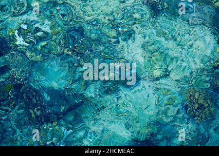 Sfondo astratto blu chiaro acqua. Coral Reef sotto l'acqua del Mar Rosso. Foto Stock