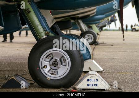 RAF Battle of Britain Memorial Flight la flotta di aerei si è schierata per il 50th anniversario della BBMF, a Duxford, con l'ospite Rolls Royce Spitfire XIX PS853 Foto Stock