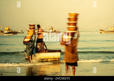 La cattura, pesca commerciale sostenibile a Goa, India. Spiaggia di mattina presto come il pesce viene a riva da piccolo Foto Stock