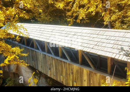 L'iconico ponte di pino sentinella sopra il fiume Pemigewasset all'interno della zona panoramica della gola del fiume Lincoln nel nuovo hampshire in una giornata di sole. Foto Stock