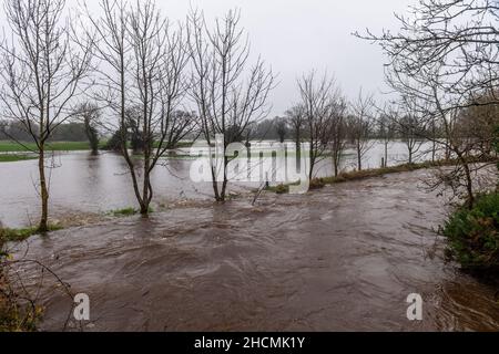 Caheragh, West Cork, Irlanda. 30th Dic 2021. Piogge pesanti e torrenziali che oggi cadono hanno portato a inondazioni di strade e campi a Caheragh, West Cork. Le contee Cork e Kerry sono attualmente sotto un avviso meteo Met Eireann giallo per la pioggia fino alle 5am di domani. Credit: AG News/Alamy Live News Foto Stock