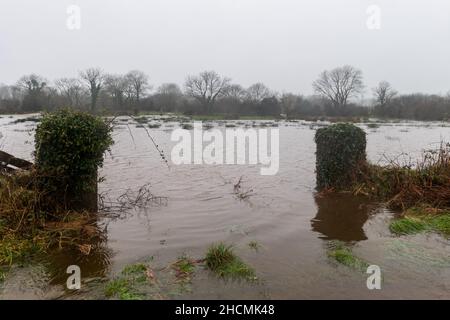 Caheragh, West Cork, Irlanda. 30th Dic 2021. Piogge pesanti e torrenziali che oggi cadono hanno portato a inondazioni di strade e campi a Caheragh, West Cork. Le contee Cork e Kerry sono attualmente sotto un avviso meteo Met Eireann giallo per la pioggia fino alle 5am di domani. Credit: AG News/Alamy Live News Foto Stock