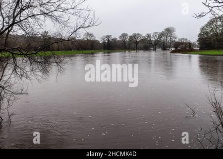 Caheragh, West Cork, Irlanda. 30th Dic 2021. Piogge pesanti e torrenziali che oggi cadono hanno portato a inondazioni di strade e campi a Caheragh, West Cork. Le contee Cork e Kerry sono attualmente sotto un avviso meteo Met Eireann giallo per la pioggia fino alle 5am di domani. Credit: AG News/Alamy Live News Foto Stock