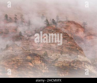 Mattinata di nebbia nel Parco Nazionale di Zion Foto Stock